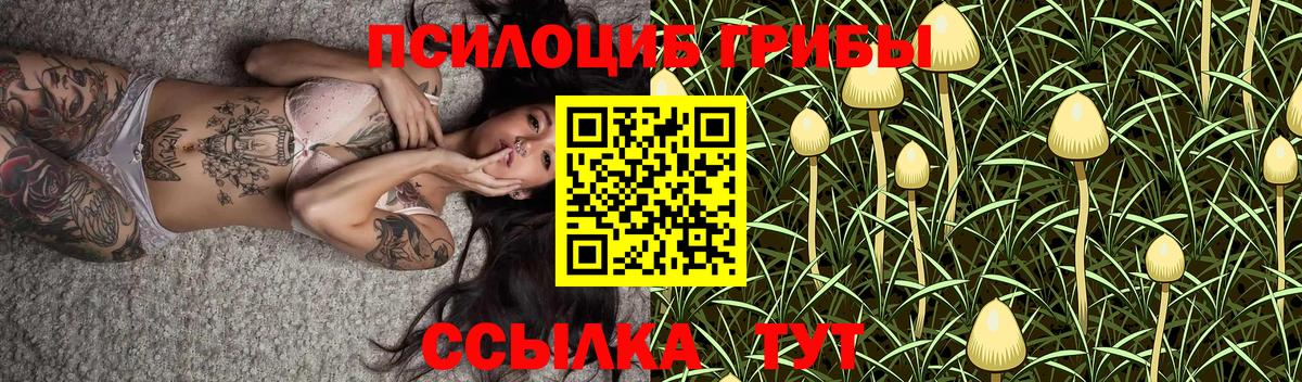 Мелеуз  Псилоцибиновые грибы Magic Shrooms  наркотики  Вход с VPN 